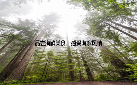 品尝海鲜美食, 感受海滨风情